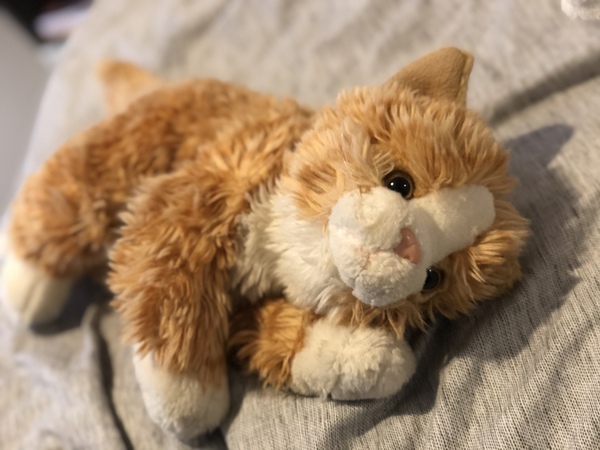 Kitty